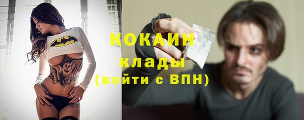 твердый Лагань
