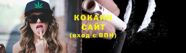 твердый Лагань