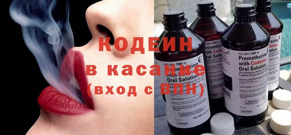 твердый Лагань