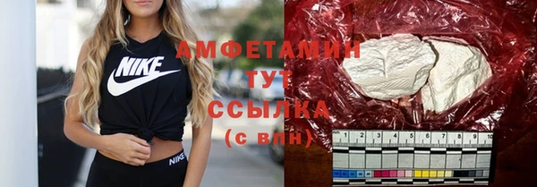 твердый Лагань